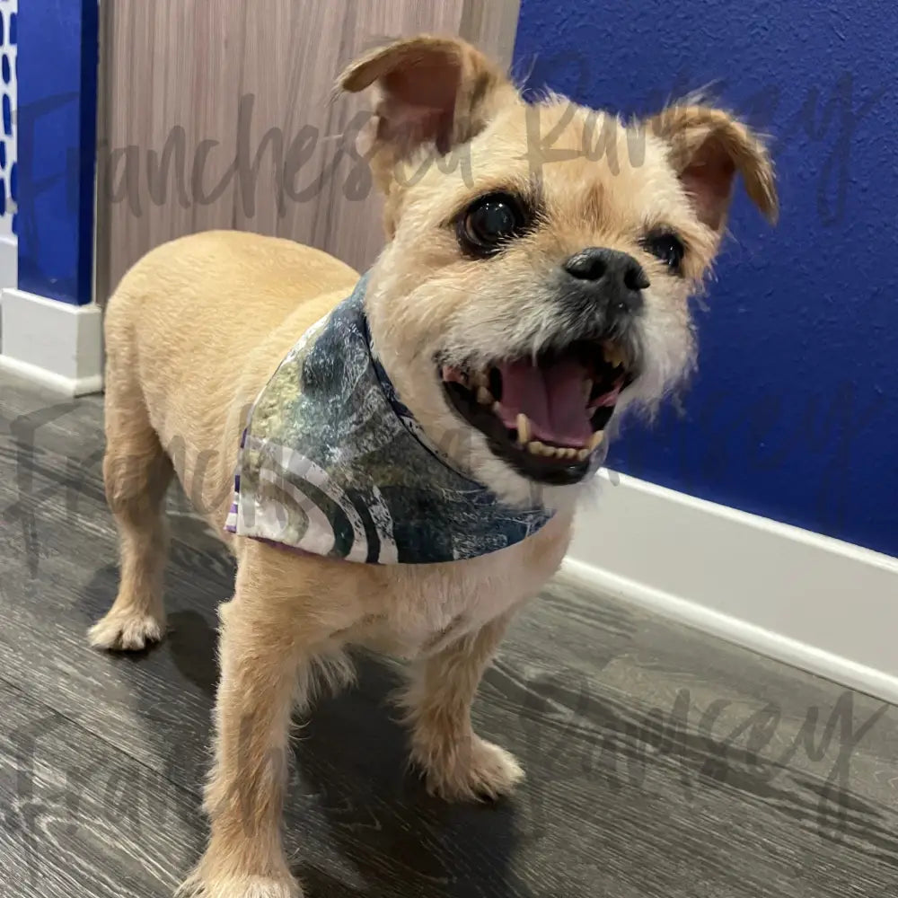 Flexin’ Watercolor Bandana M