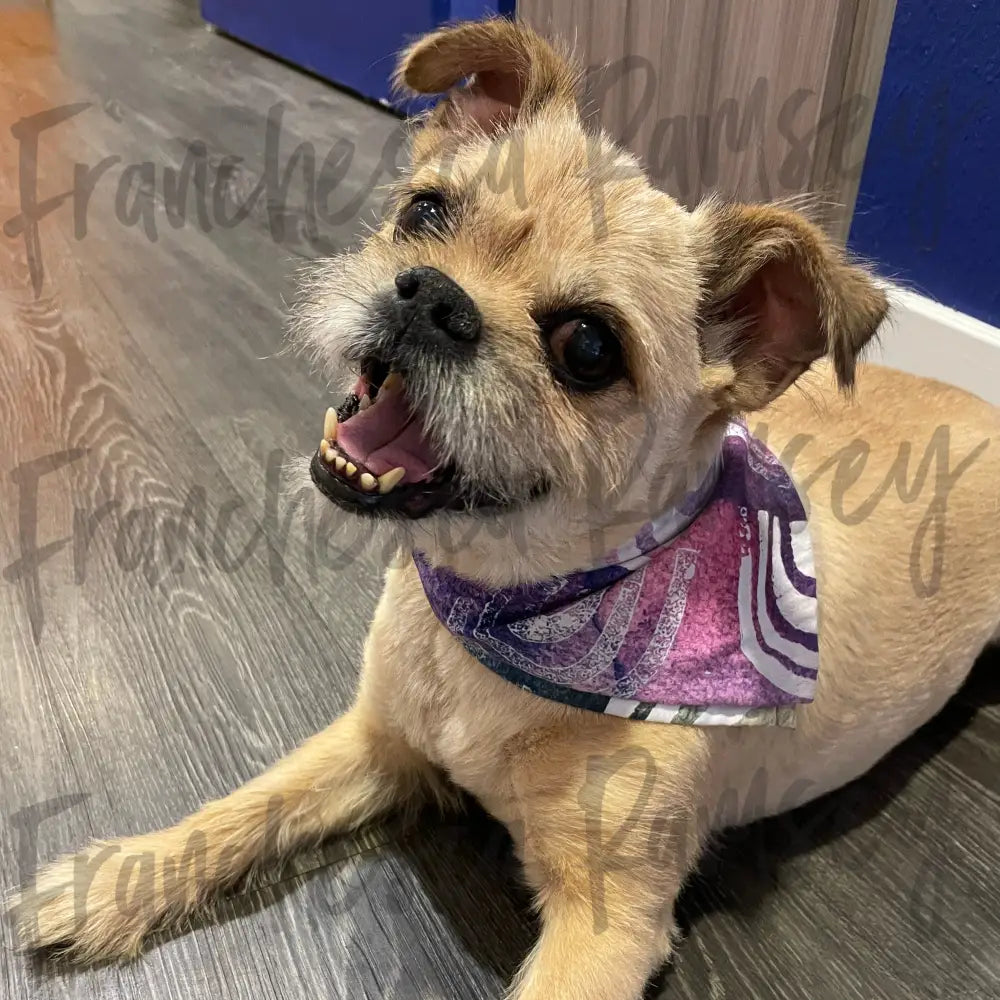 Flexin’ Watercolor Bandana S